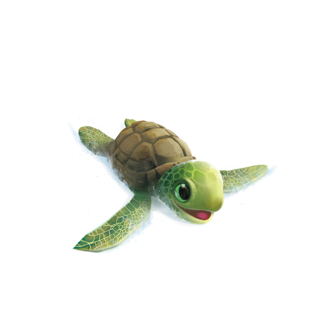 TURTLE SPLASH (MLV)